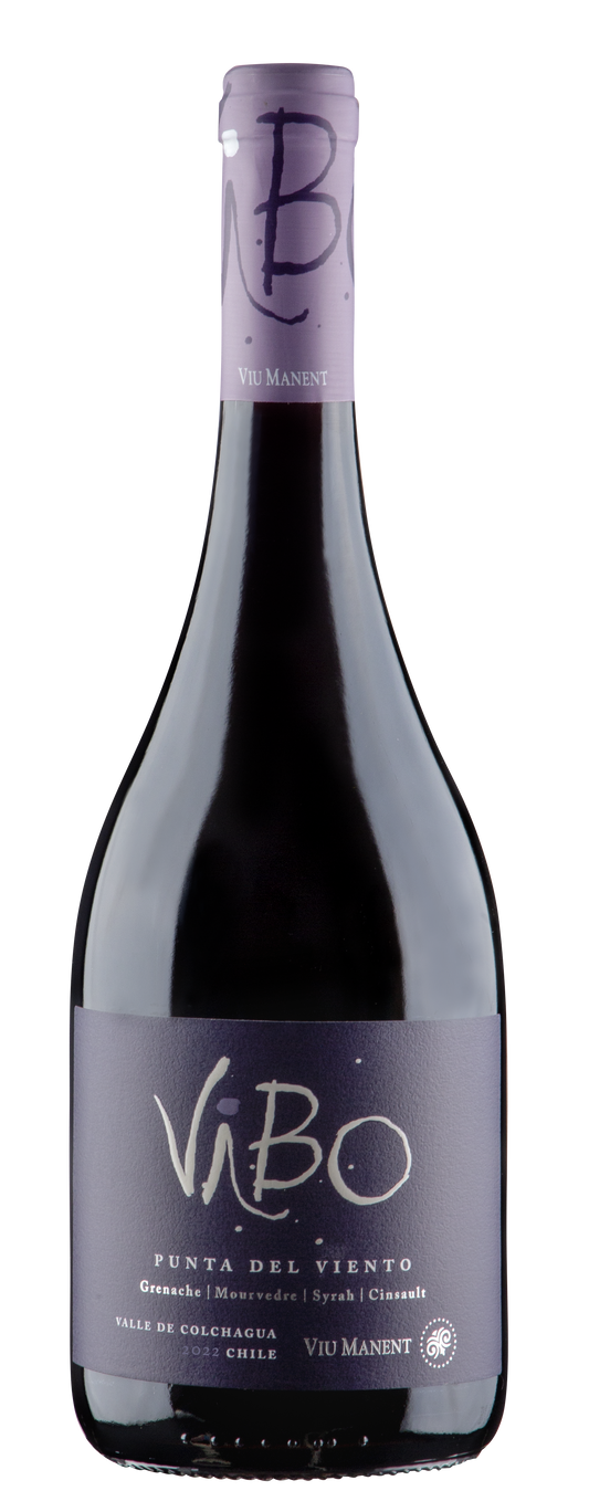 VINO TINTO VIU MANENT VIBO PUNTA DEL VIENTO 2022 750 ML